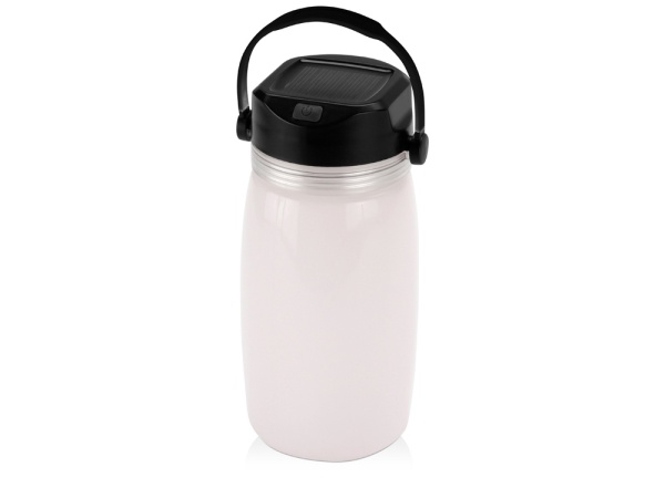 Бутылка Firefly