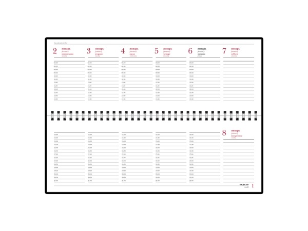 Планинг датированный Ideal New на 2024 год