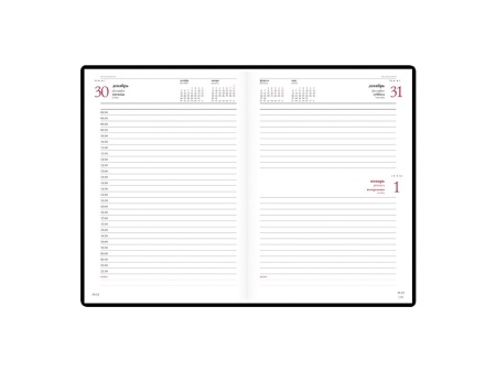 Ежедневник А5 датированный Velvet на 2024 год