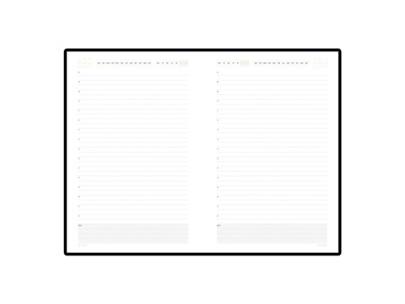 Ежедневник недатированный А5 Mercury