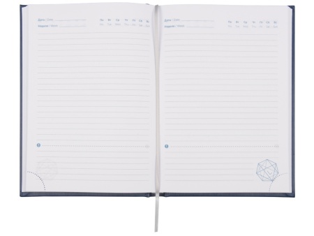 Ежедневник недатированный А5 Probe AR