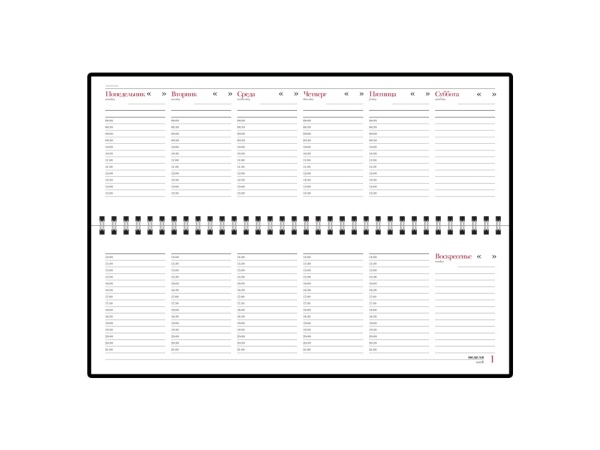 Планинг недатированный Бумвинил