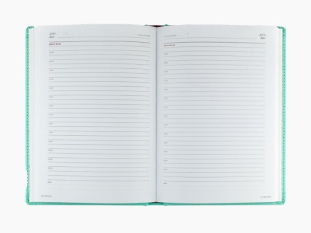 Ежедневник недатированный А5 Velvet