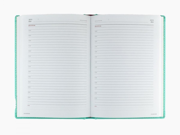 Ежедневник недатированный А5 Velvet