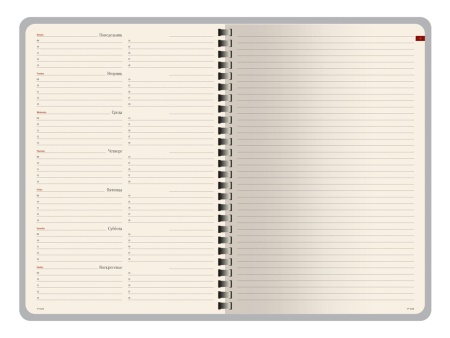 Еженедельник недатированный А5 Concept