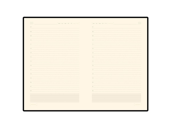 Ежедневник недатированный А5 Zenith