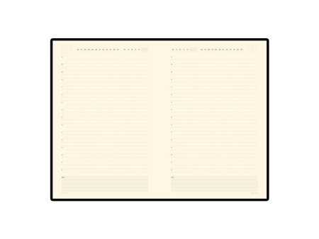 Ежедневник недатированный А5 Monaco