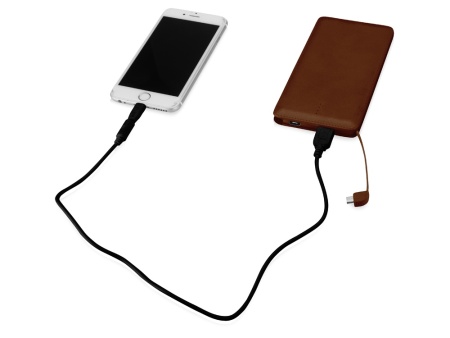 Внешний аккумулятор Стор, 10000 mAh