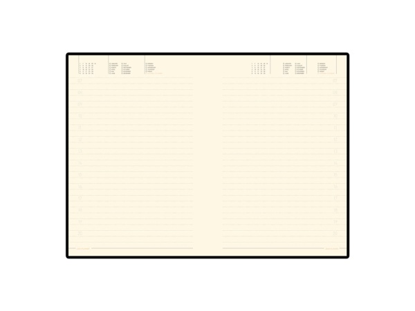 Ежедневник недатированный А5 Grand