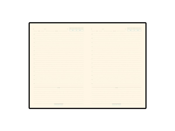 Ежедневник недатированный А5 Bridge