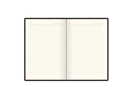 Ежедневник недатированный А5 Boston